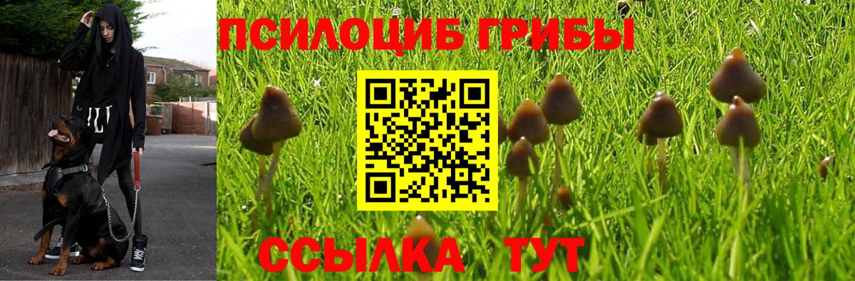 Магадан  Псилоцибиновые грибы ЛСД  Вход с VPN 